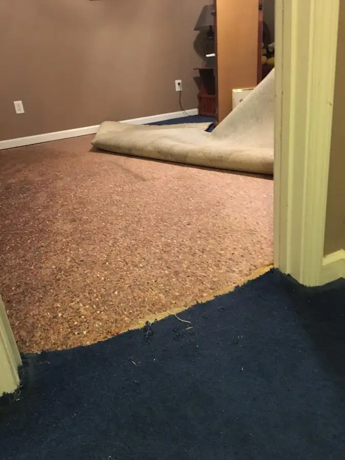 Carpet pad removal revealing water damage during Drying & Dehumidification in Hilton Head Island