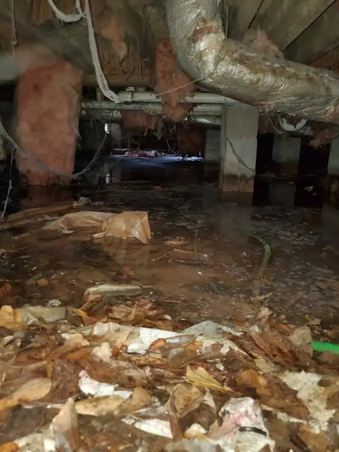 Crawl space flood assessment for Commercial Water Damage Restoration in Hilton Head Island