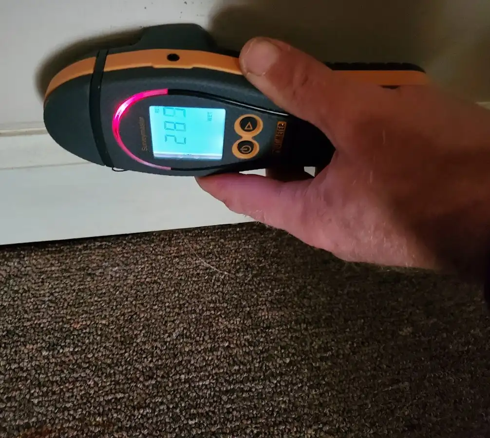 Moisture detection at baseboard during Sewage Cleanup & Sanitation in Hilton Head Island